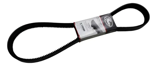 CORREIA V GIR/ALT/BA E BA/DH (GEMEAS) - 3829970392