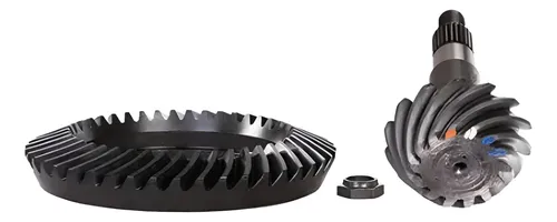 COROA E PINHAO - 10240715