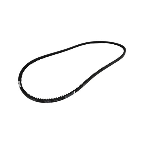 CORREIA (13X1595) - 13X1595