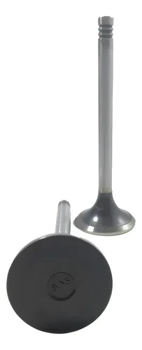 VALVULA ESCAPE MWM X10 - 50017845