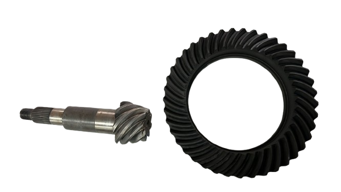 COROA PINHAO - 23B525143J