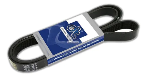 CORREIA POLY V 8PK1985 - 1800521