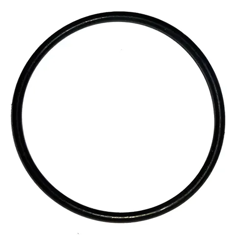 ANEL FILTRO COMBUSTIVEL 48,90X2,62 BR516 - 259979348