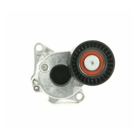 ESTICADOR CORREIA - APV2982