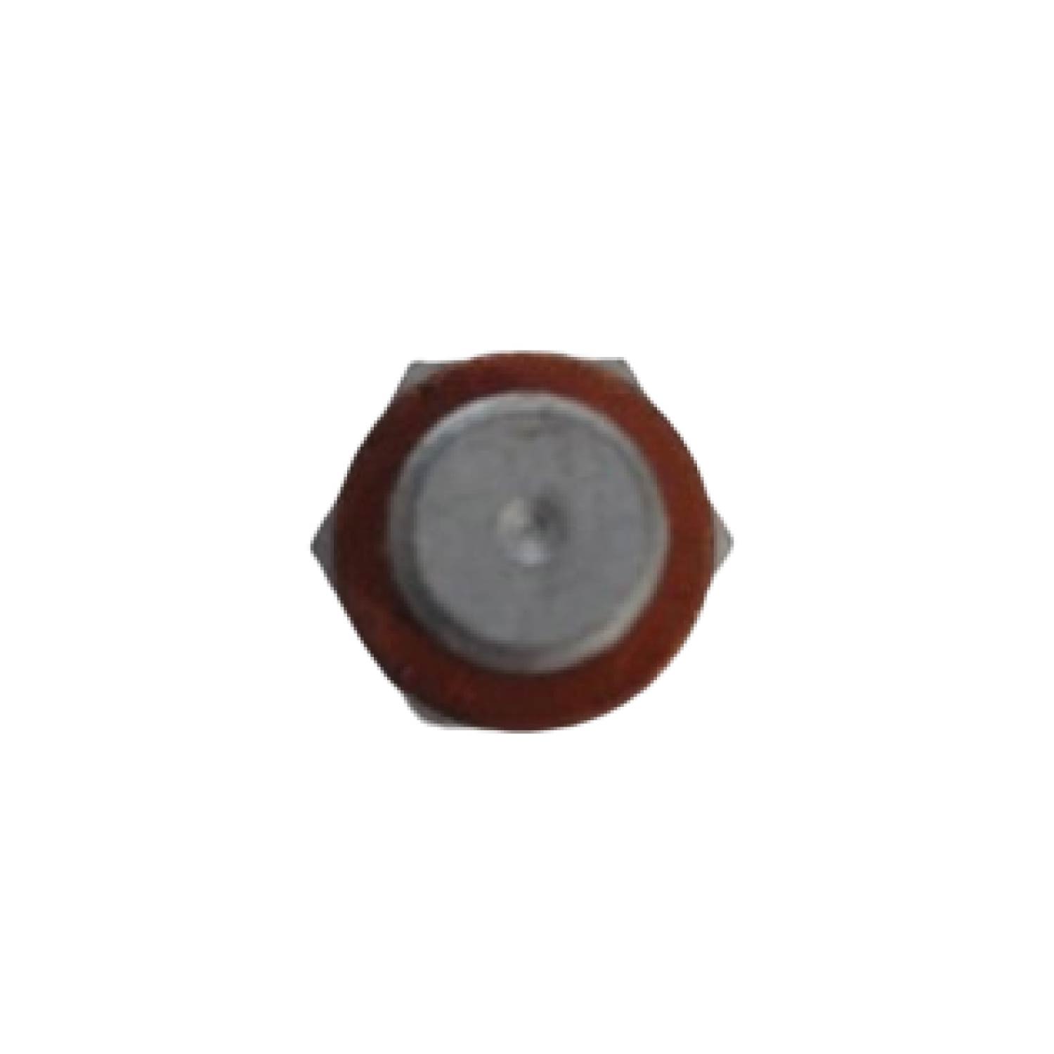 BUJAO BLOCO MOTOR - 504017302